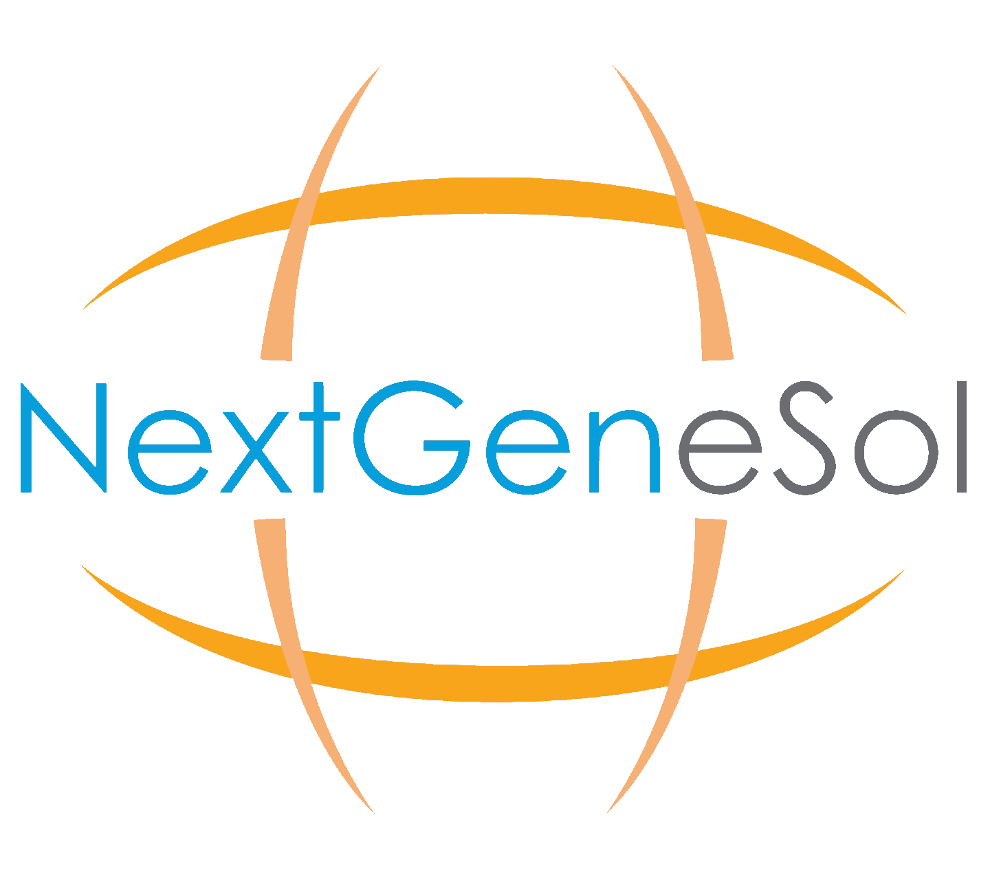 NextGeneSol Logo